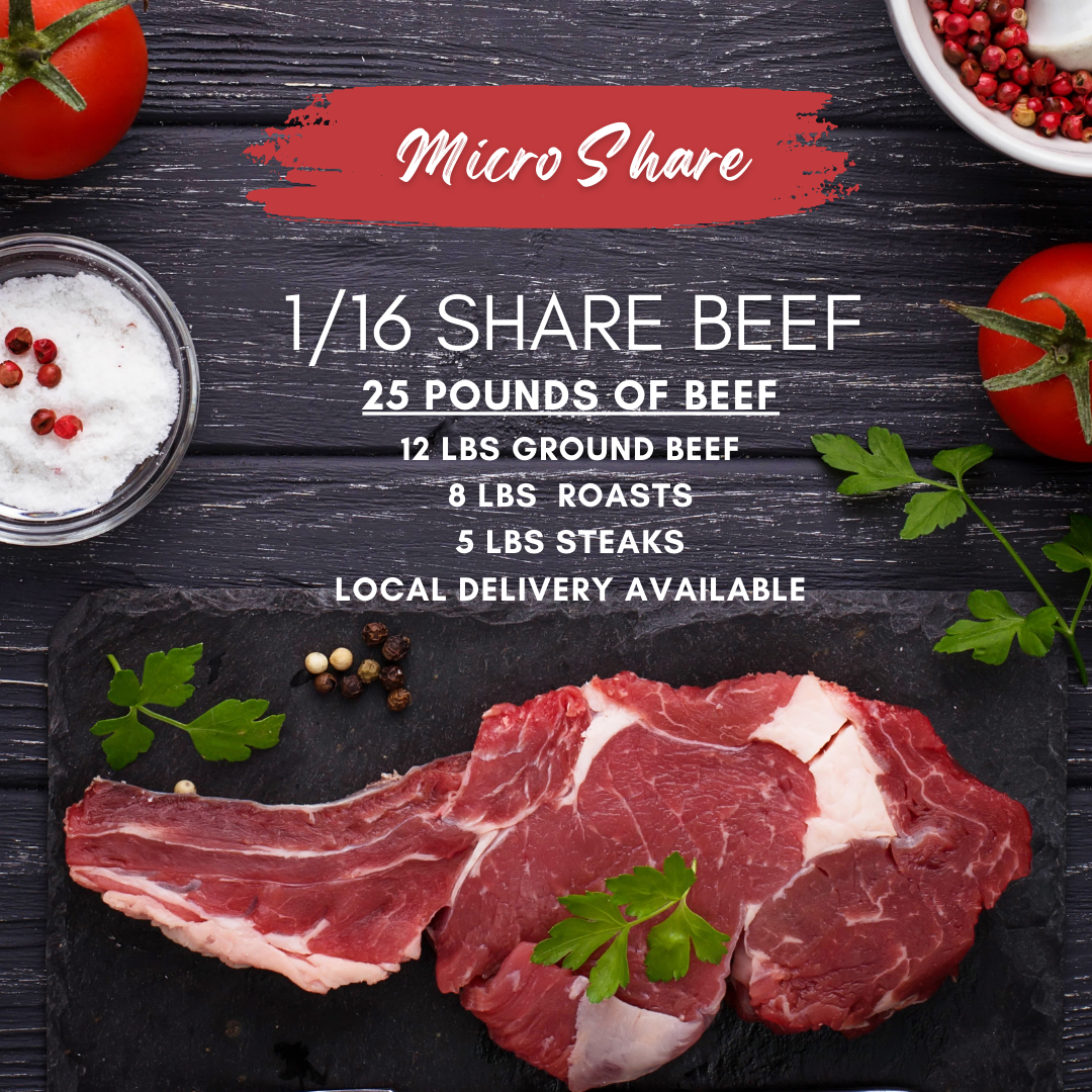 Micro Share Beef 1/16th Share