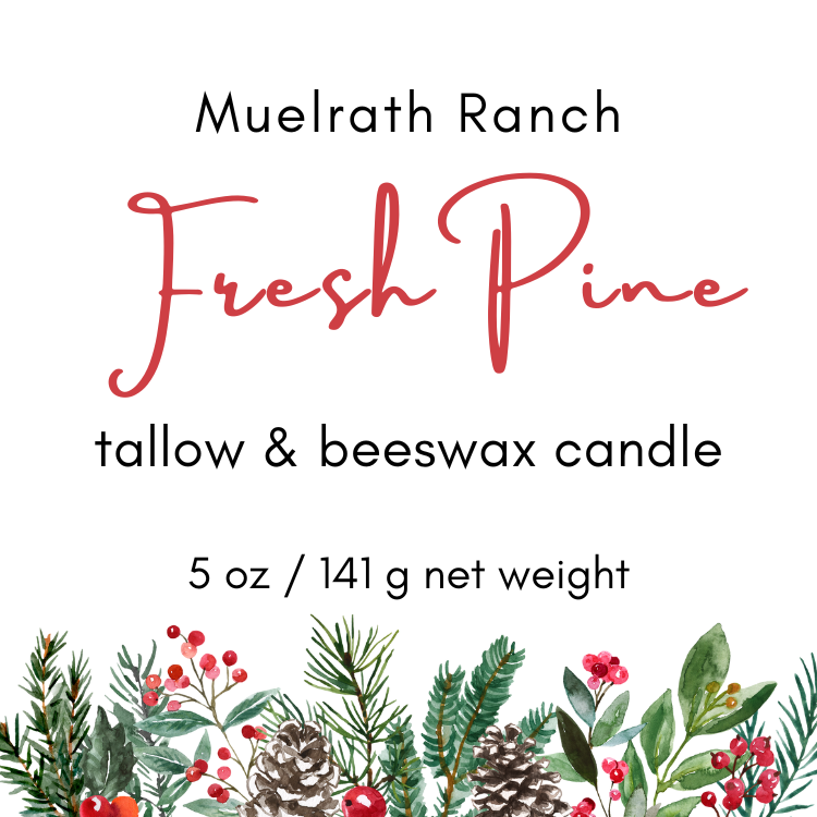 Tallow & Beeswax Candle