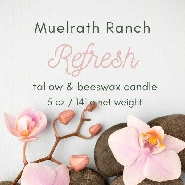 Tallow & Beeswax Candle