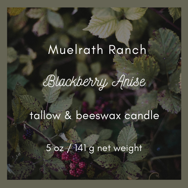 Tallow & Beeswax Candle
