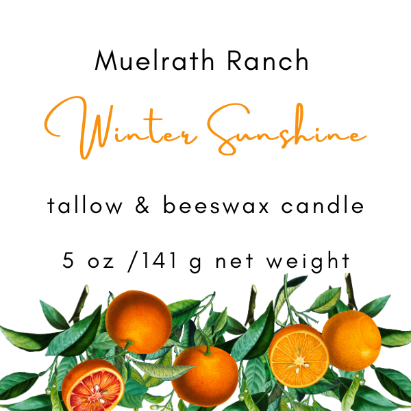 Tallow & Beeswax Candle