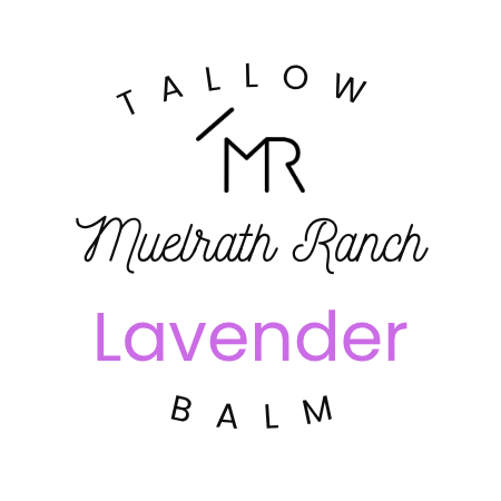 Tallow Balm Whipped - 2oz